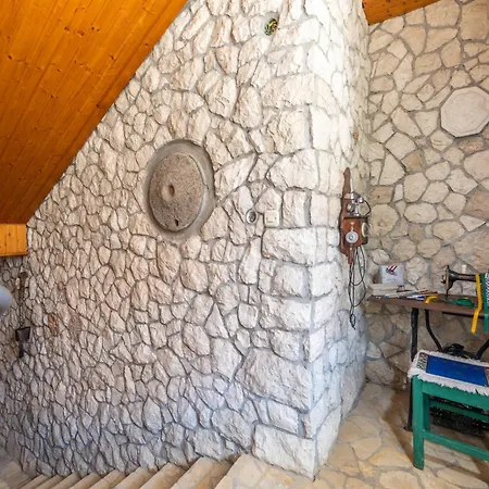 Zorka